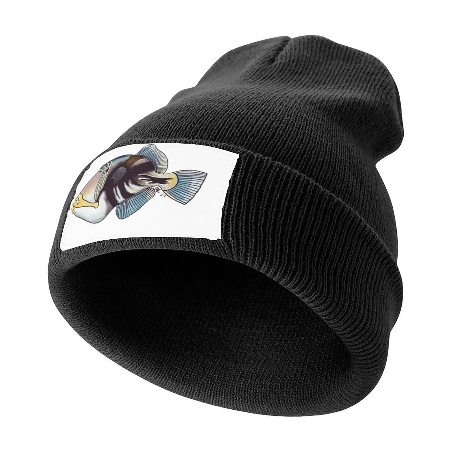 Colorful Picasso Triggerfish Knitted Cap cute Hat Man Luxury Brand Man cap Baseball For Men Women's