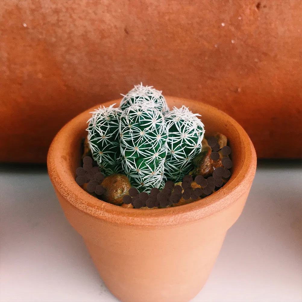Succulents Clay Rocks Breathable Natural Small Stones Decorative Pot Bottom Mat Stable Water Filtration Plant Growth Indoor