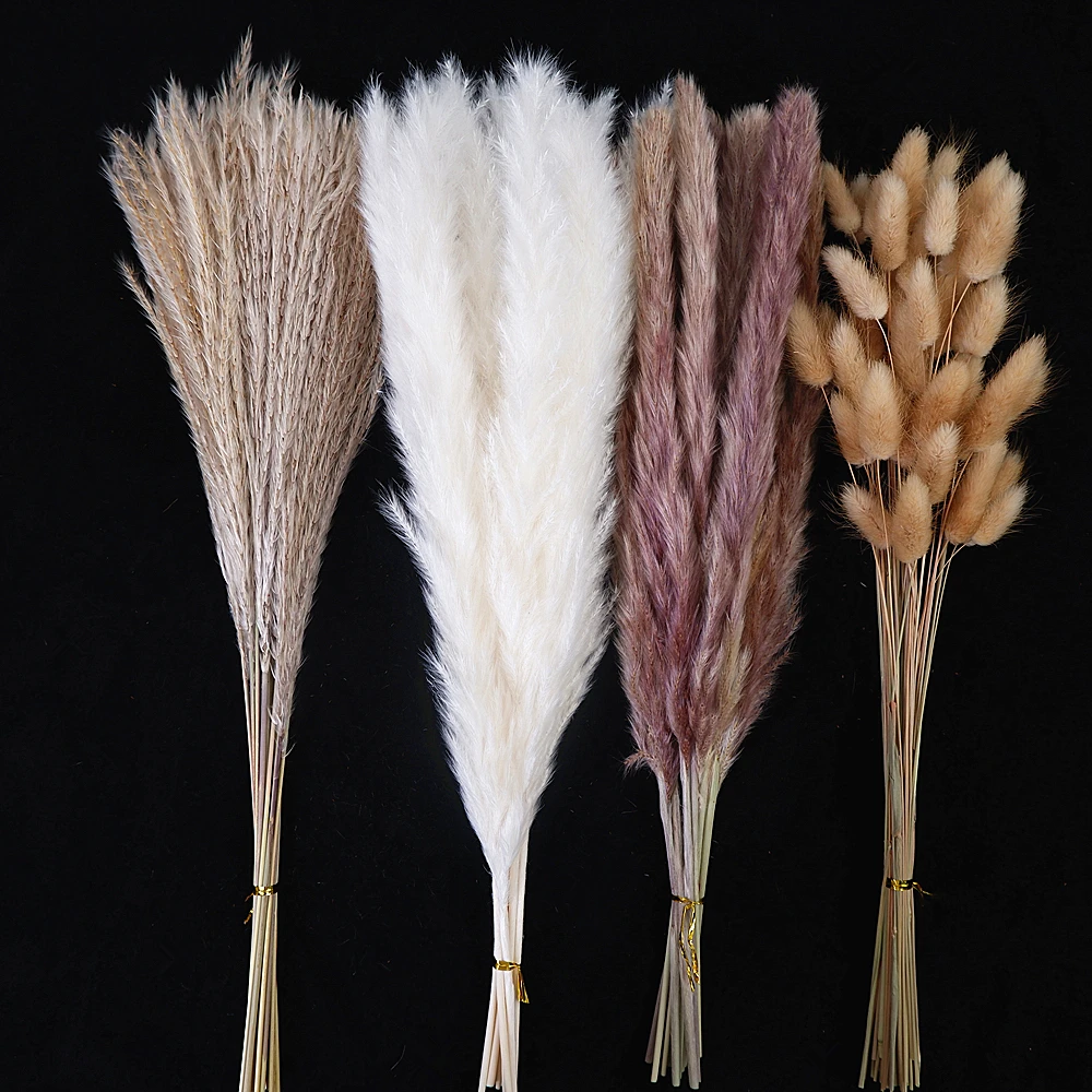 Thumbnail 2 - #3 Trending Dried Flowers Right Now