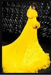 wedding Beauty pageants party Fashion Stage Tulle pleated ruffle edge velvet Cathedral Cloak Long sleeves jacket custom color
