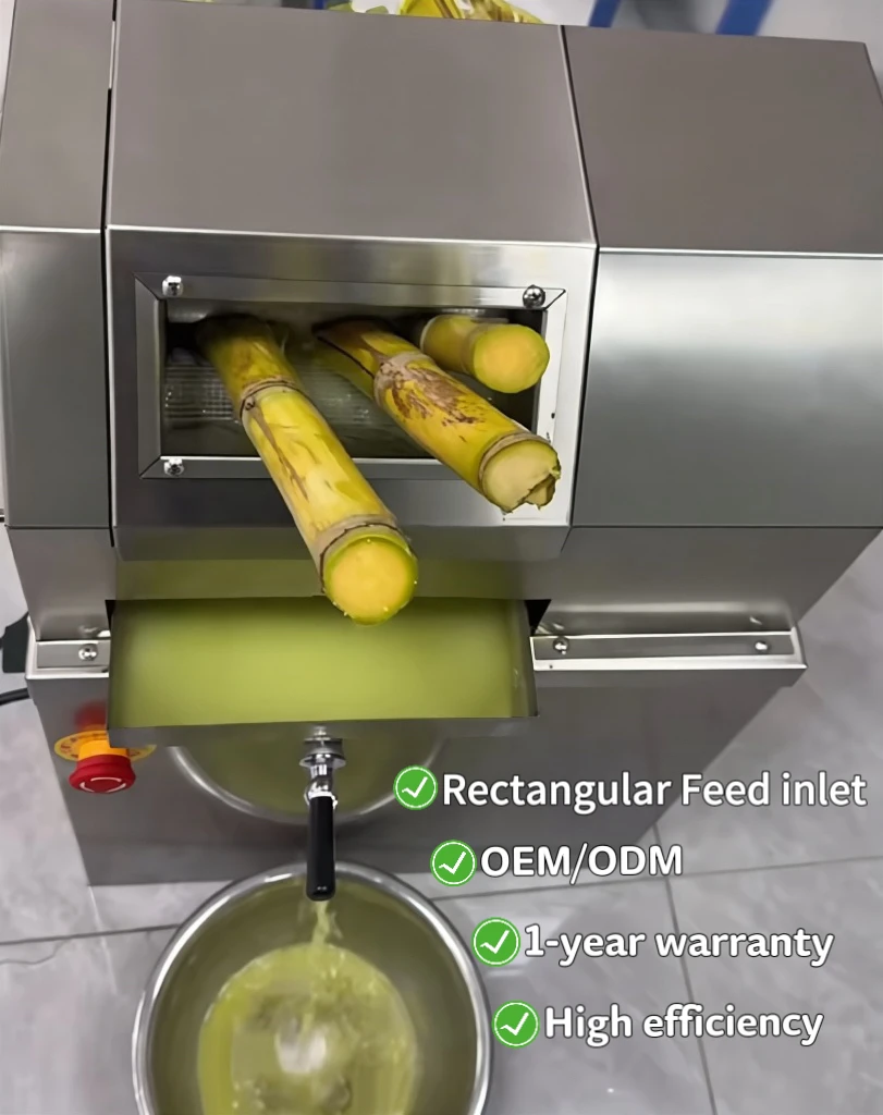 Commercial Electric Sugar Cane Juicer With Large Rectangular Feed Inlet Stainless Steel Sugarcane Juice Extractor For Fruit Shop