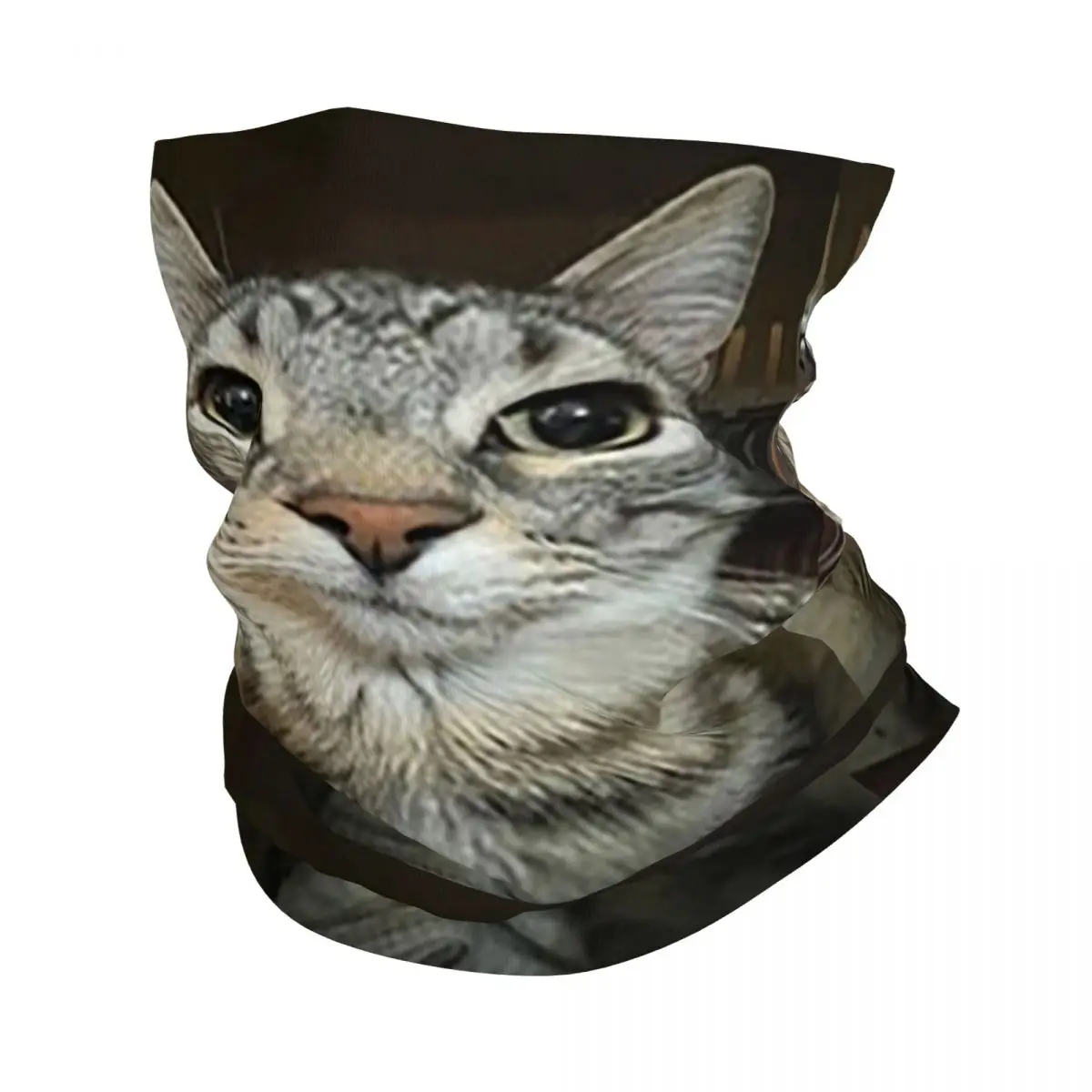 Cat Looking Directly At You Bandana Neck Cover Printed Wrap Scarf Warm FaceMask Outdoor Sports Unisex Adult Breathable