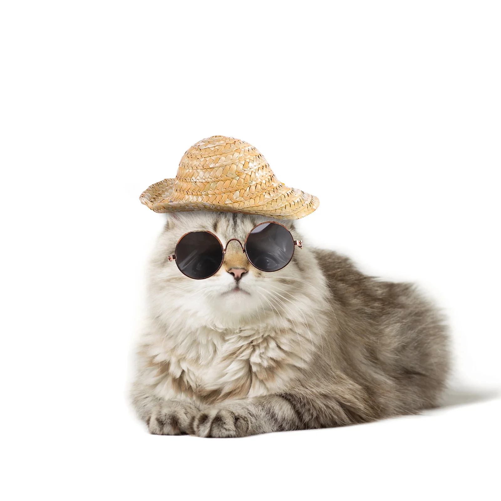 

3Pcs Pet Straw Hat Costume Set Cat Dog Sunglasses Gold Chain Necklace Photo Props Accessories Pet Straw Hat Puppy Sunglasses