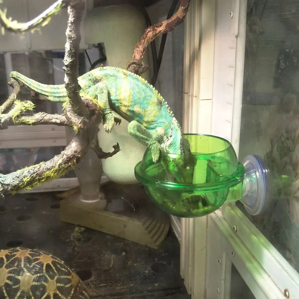 

Chameleon Feeding Bowl Reptile Feeder Suction Cup Reptiles Feeder Water Bowls Anti-Escape Lizard Wall Hanging Feeder Bowl Lizard