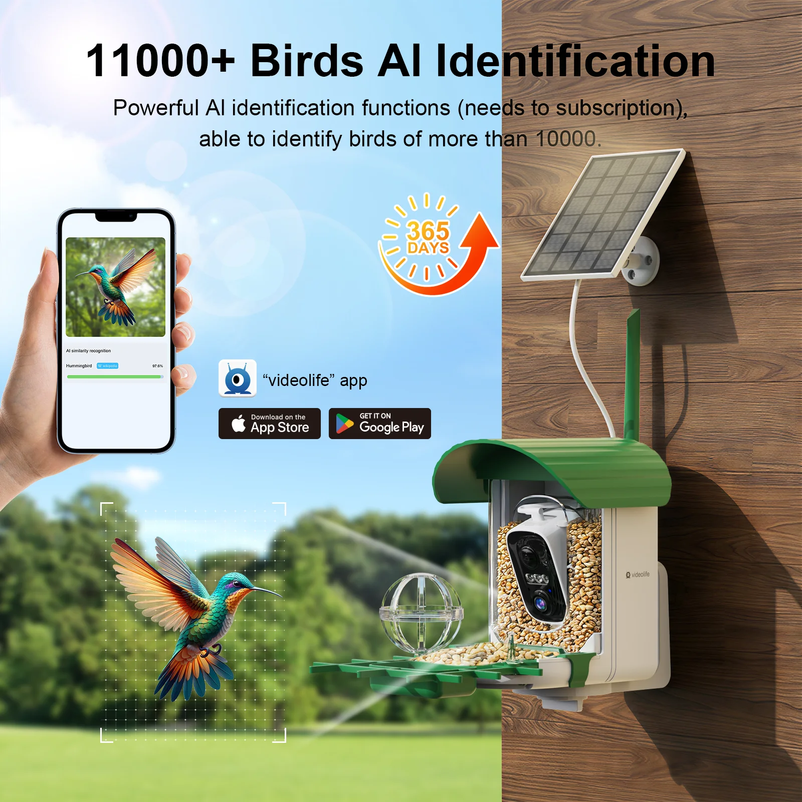 videolife Smart Bird Feeder with 2K Solar Camera AI Bird Recognition Night Vision PIR Motion Detection Squirrel Repellent