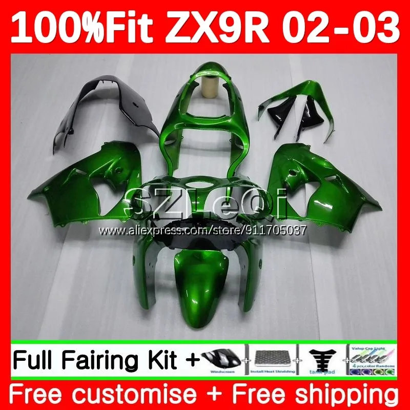 Factory Green OEM Fairing For KAWASAKI NINJA ZX 9R 9 ZX9 R 900 CC ZX9R 02 03 107No.5 ZX900 900CC ZX-9R 2002 2003 Injection Body