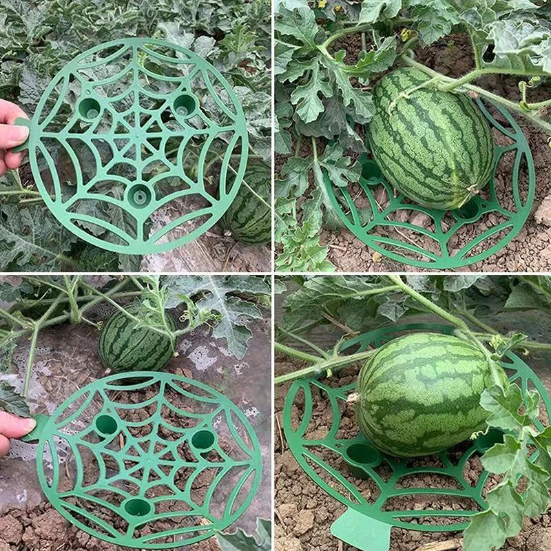 1 buah dudukan dukungan buah bingkai keranjang tanaman sayuran rak baki Melon Squash labu pemegang pelindung semangka berdiri