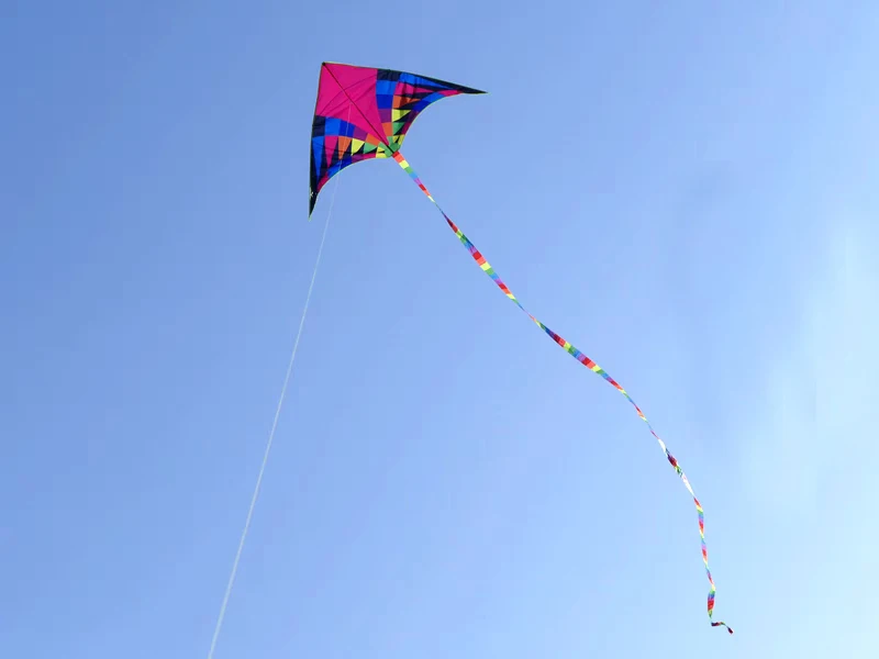 Frete grátis grande delta arco-íris pipas voando brinquedos ripstop náilon com alça linha pipas para adultos pipa profissional salto de ar