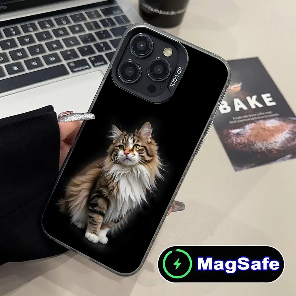 

Чехол для телефона Kitten Cute Cat Kawaii для iPhone 16, 15, 14, 13, 12, 11 Pro Max Plus, роскошный полупрозрачный чехол MagSafe с цветным принтом
