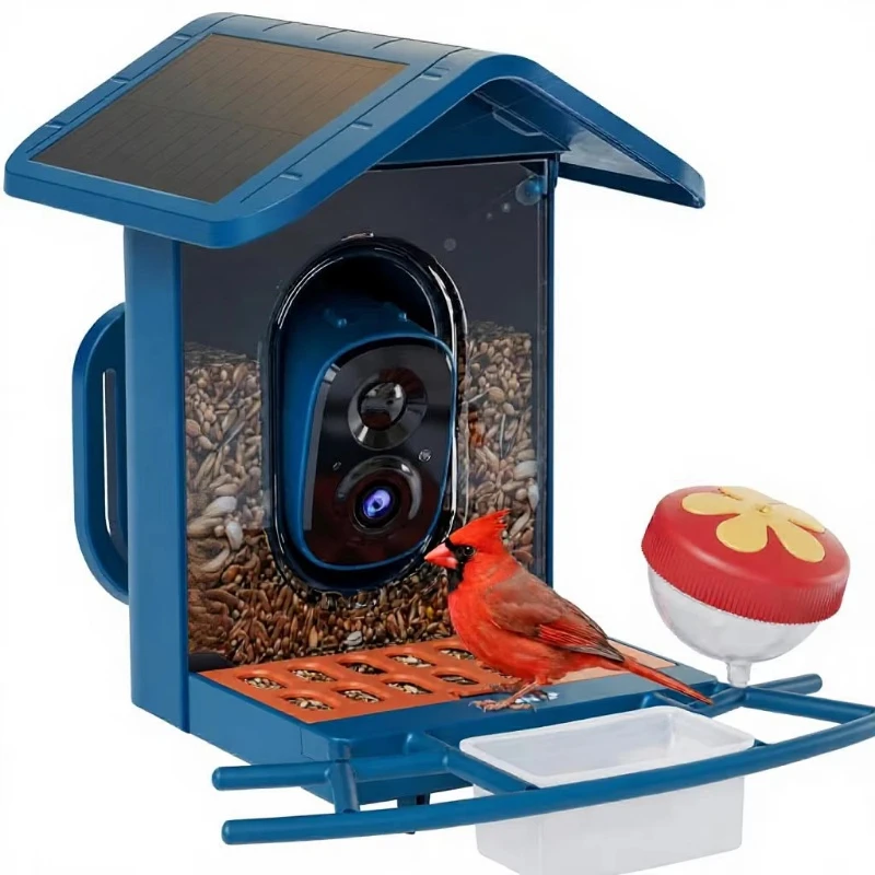 Intelligent bird feeder camera high definition real-time view of artificial intelligence bird species identification alert