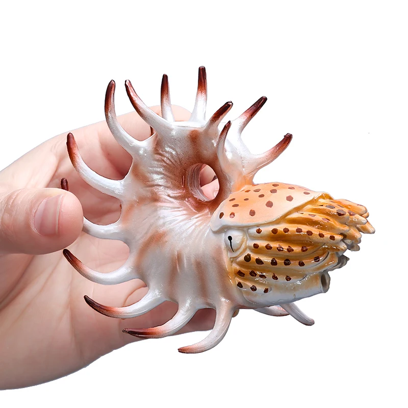 Nautilus ammonoid ตุ๊กตาพลาสติกรูป-สนุกเล่นเพื่อการศึกษาของเล่นสําหรับ Boys,Girls & Kids อายุ 18M + Naautilus