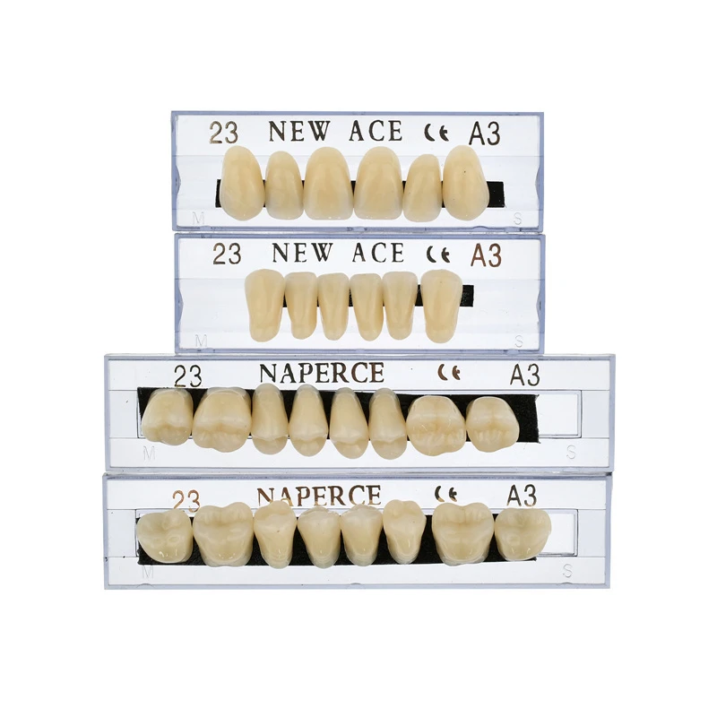 168 stks/doos Tandheelkundige Materialen Prothese Valse Tanden Model Hars Kunstgebit Tandarts Lab Gereedschap