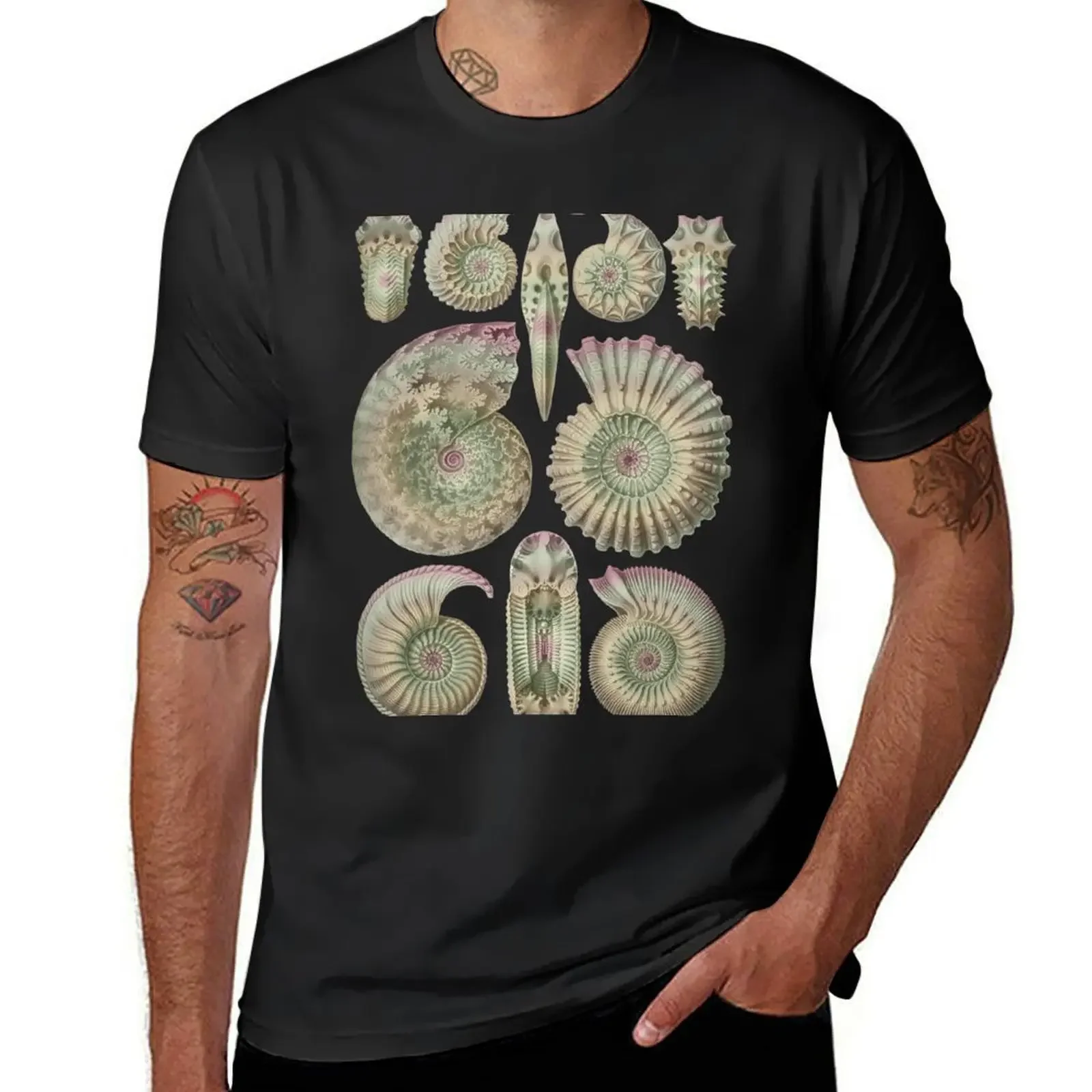 Ernst Haeckel Ammonitida Ammonite Earth Tones T-Shirt tops boys whites mens workout shirts