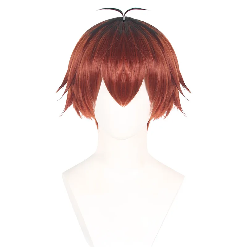 Furieen von „The Lost Flare“ Cosplay-Perücke, mehrfarbig