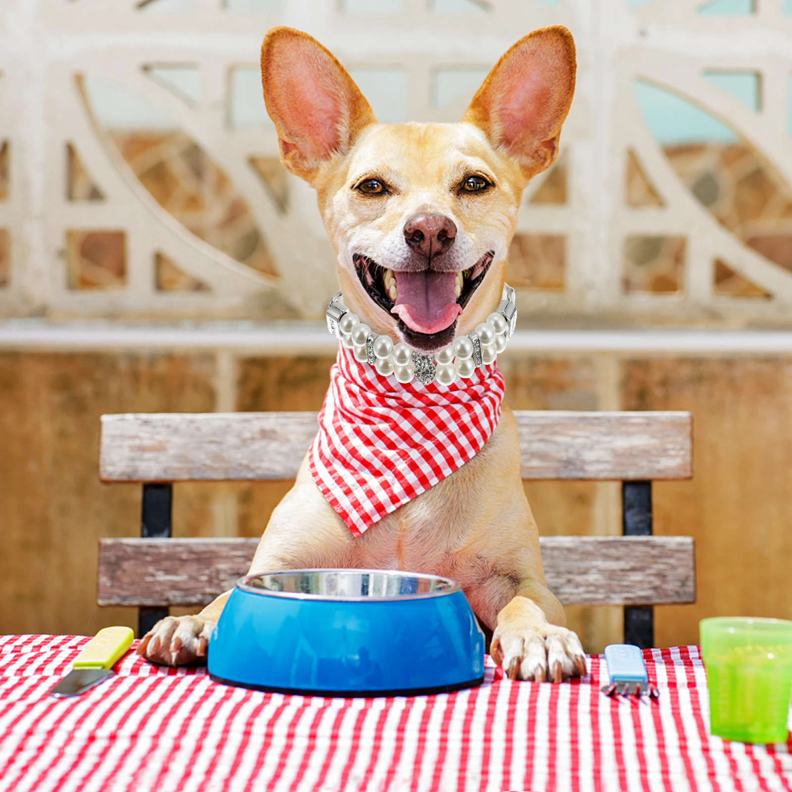 

Dog Pearl Collar with Leash Pet Pearls Necklace Jewelry Cat Collars Imitation Puppy