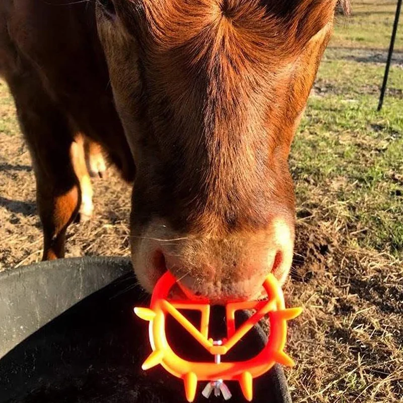 20PC Cow Nose Ring Farm Livestock Animal Weaner Czerwone plastikowe narzędzie do odbijania łydek Bydło zapobiegające ssaniu