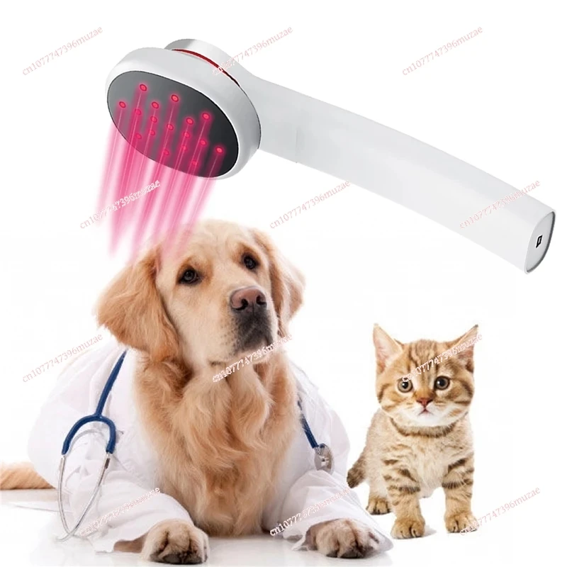 Veterinary Use Soft Cold Laser Therapy Device Rehabilitation Horse/Dog Pain Relief Machine Acupuncture