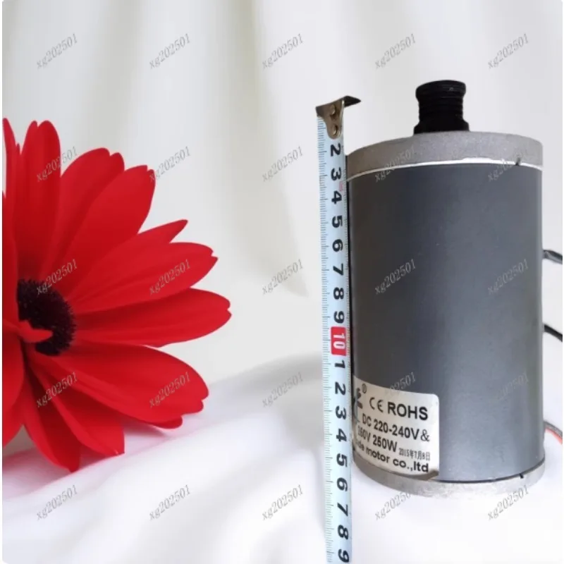 

HSM8378/HSM8316 Двигатель постоянного тока для беговой дорожки - 220 В, 1,5 л.с., 5 А, приводной двигатель для тяжелого оборудования для фитнеса