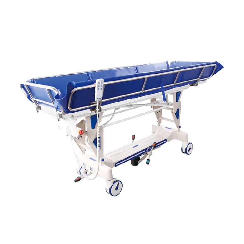 Nursing Home Nursing Home Electric Manual Bath Bed Disabled Elderly Paralysis Bedridden Patient Bath Nursing Bed