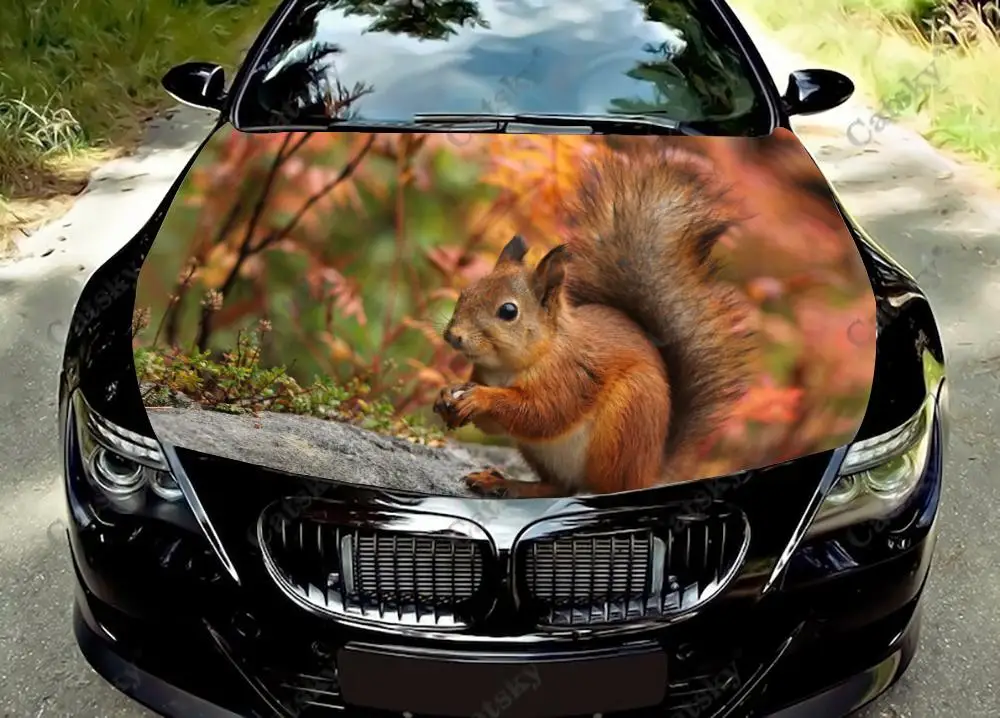 

squirrel animal cute Car Hood Decal Self-Adhesive Paint Suitable for SUV Wrap Truck Graphic Car Engine Vinyl Sticker