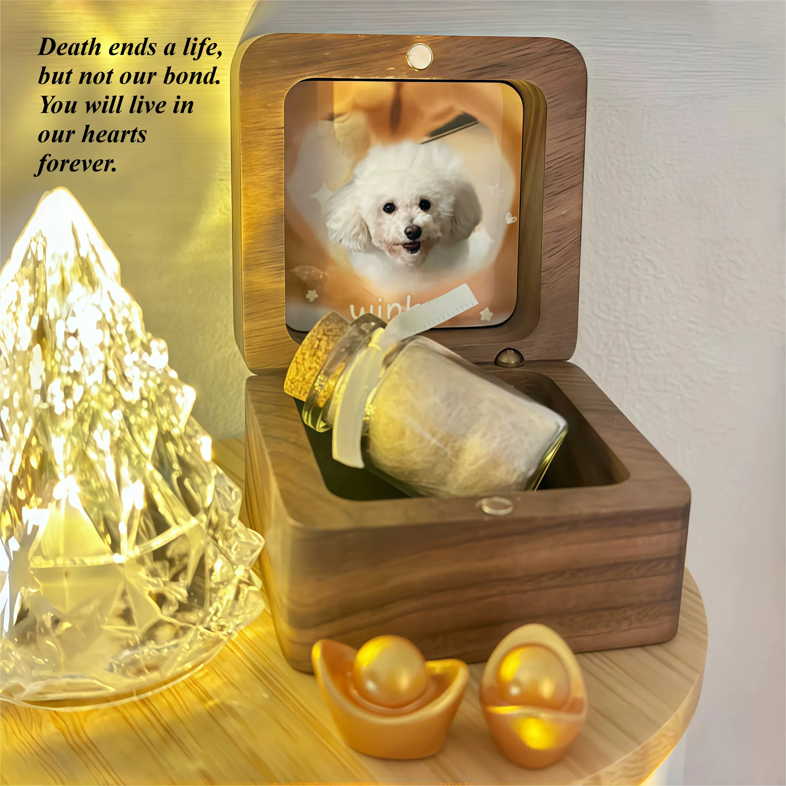 Pet Hair Commemorative Box Dog Cat Death Remembrance of Death Tooth Preservation Collection Bottle Photo Customized Engraving