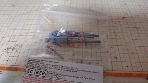 Buyer photo of this resin kit