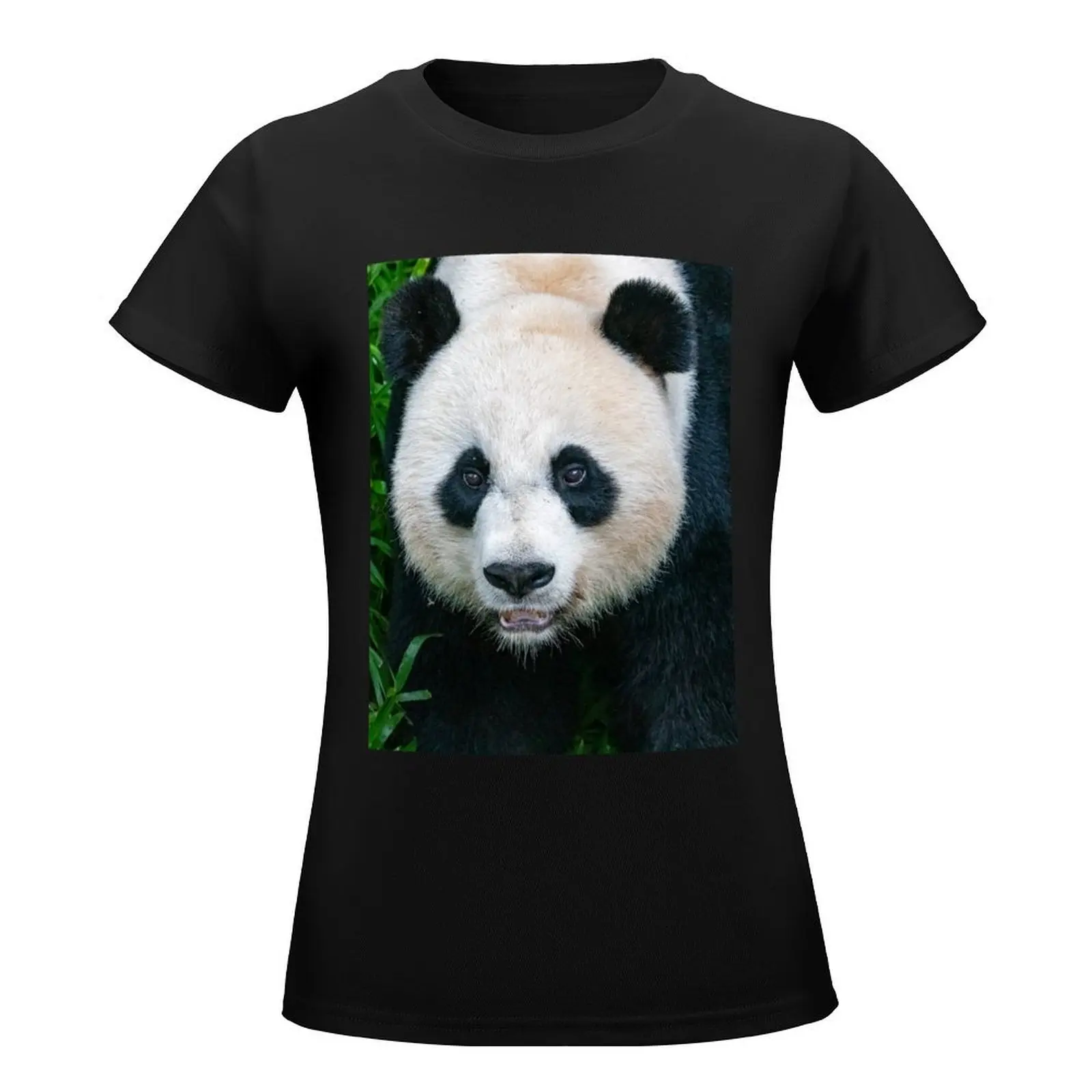 Giant Panda Mei Xiang at the Smithsonian's National Zoo T-Shirt anime clothes blanks quick drying plus size tops Women clothing