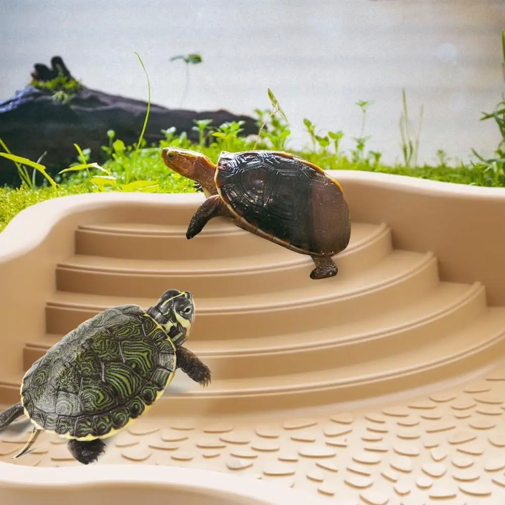 Schildkröten-Badebecken-Futternapf, langlebiger Reptilien-Wassernapf für Box, Schildkröten, Frösche und Haustiere, leicht zu reinigendes Lebensraum-Zubehör – Detail 10