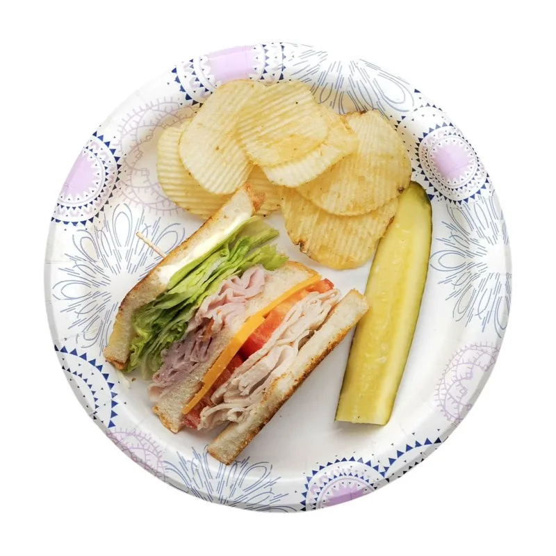 8.5 Inch Disposable Paper Plates, 100 Count, Soak-Proof and Microwave Safe