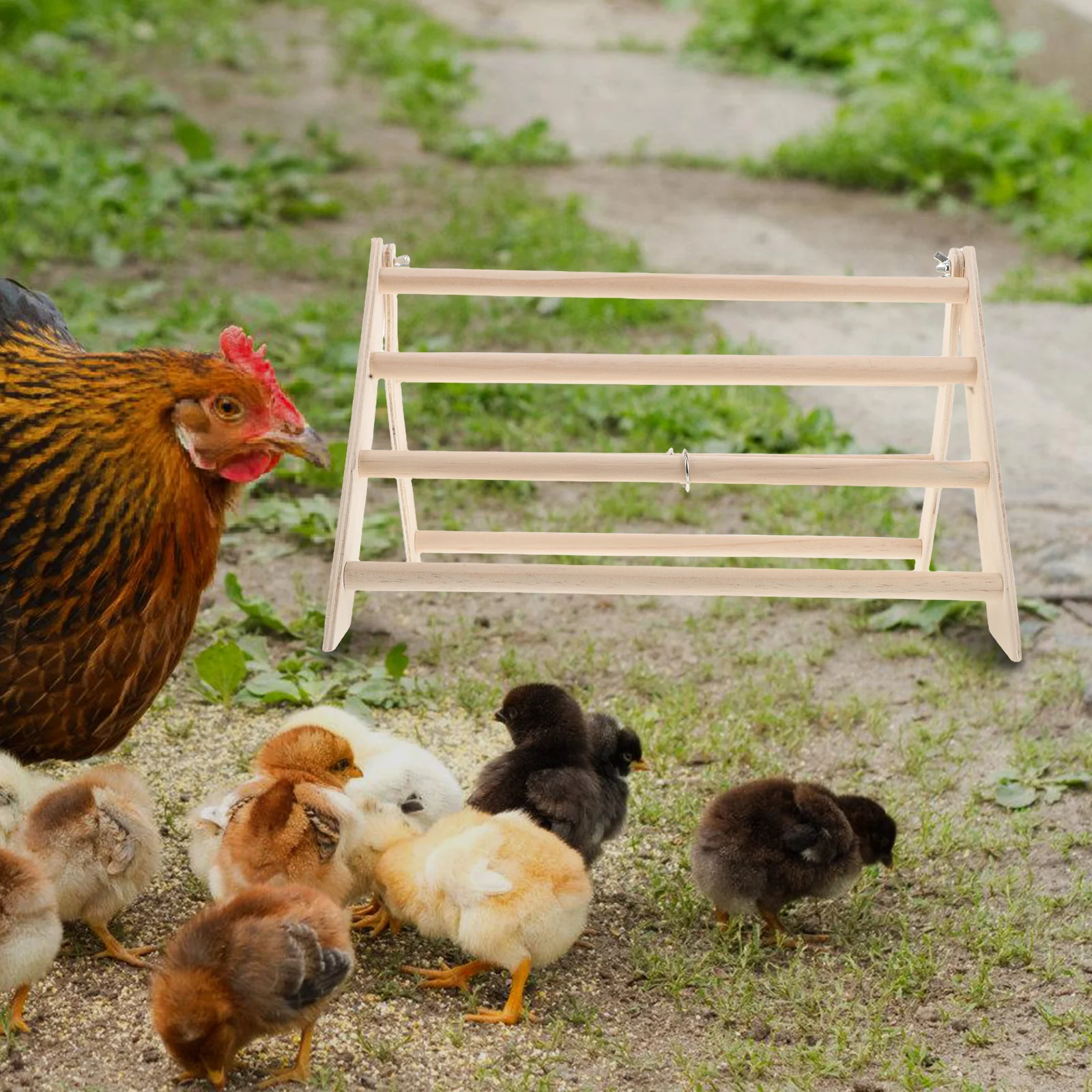

Poultry Perch Rack Wooden Frame Beige Baby Chick Supplies Chicken Coop Accessories Detachable Structure Stable Construction
