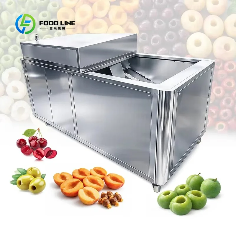 Customized Automatic Commercial Dates Cherry Longon Seed Pitting Machine 2200W High Capacity 600-1300pcs/min Fruit Pit Remover