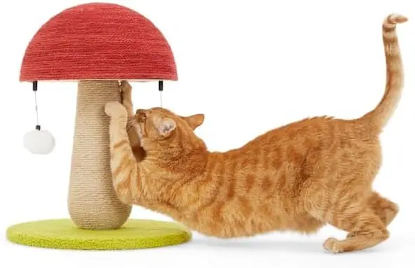 

by Petco Toadstool Scratch Post for Cats
