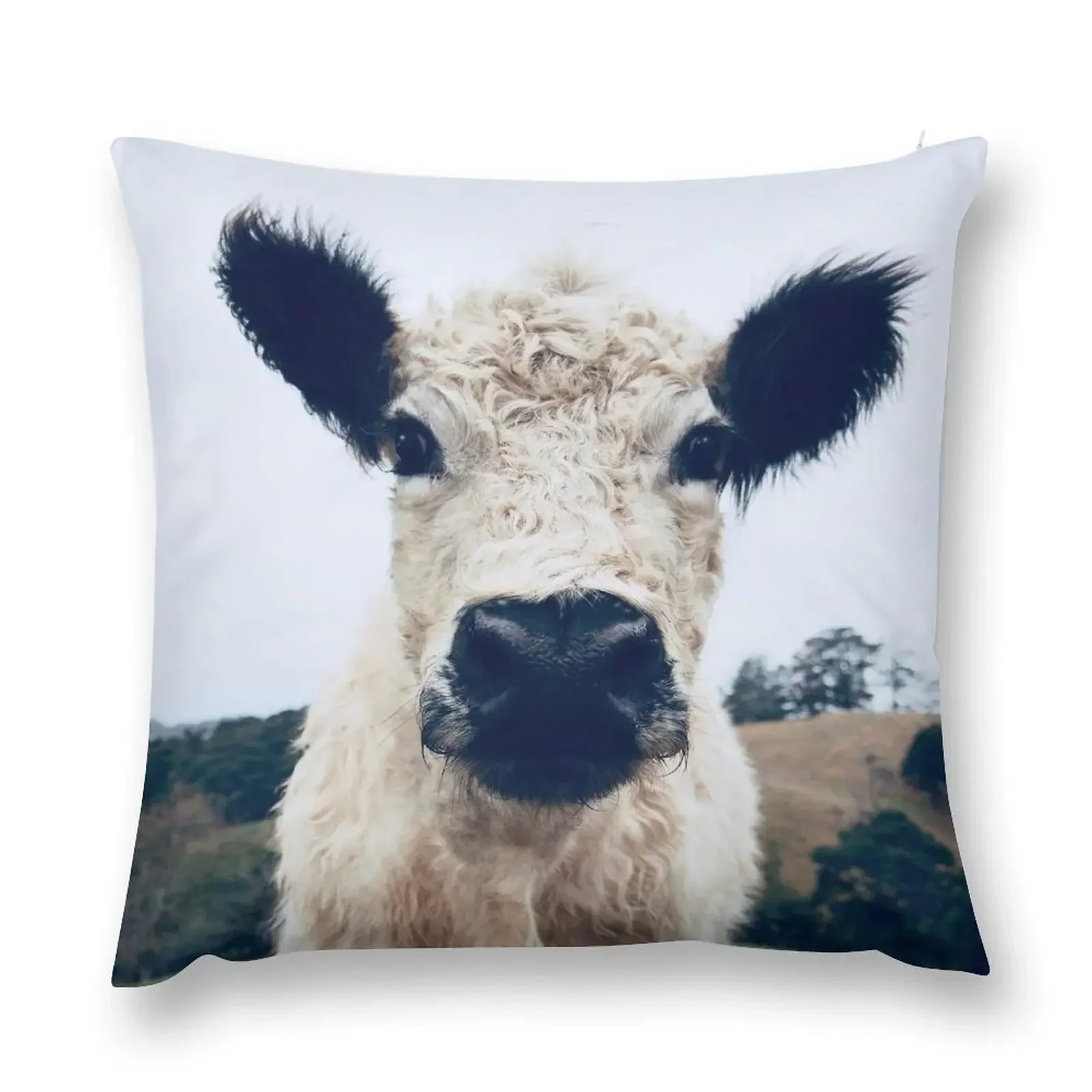 

Galloway Throw Pillow Room decorating items Christmas Covers For Cushions pillow