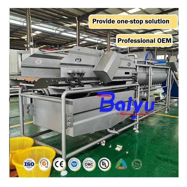 Baiyu Automatic Bean Sprout Washing And Drying Machinery Line Mung Bean Sprout Cleaning Machine