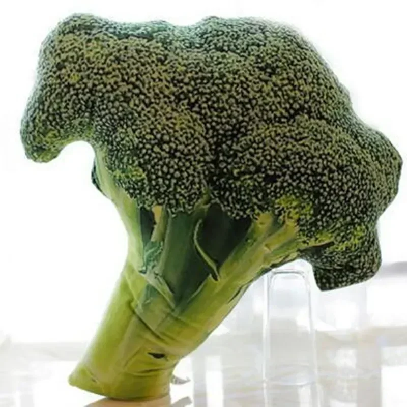 Creativo peluche pianta cuscino broccoli cavolo farcito peluche melone amaro sedano patate carota giocattolo creativo regalo di compleanno
