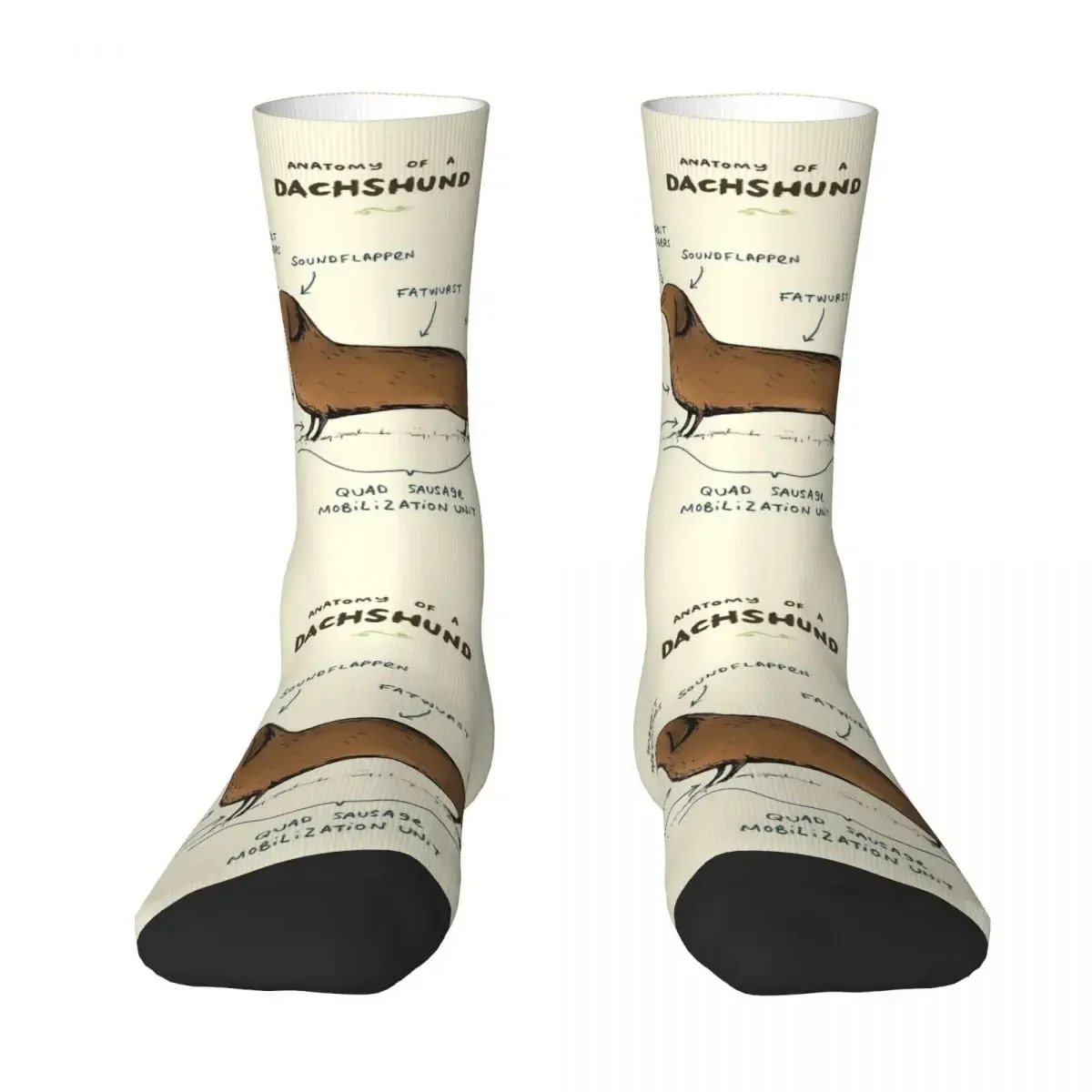 Anatomy Of A Dachshund Socks Harajuku calze di alta qualità calze lunghe per tutte le stagioni accessori per regalo di compleanno Unisex