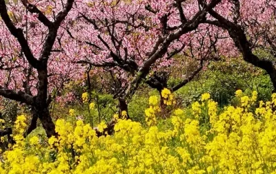 

2.2 Inch RC Crawler Wheels and Tires Set for 1/8 Scale Truck, Metal Beadlock Wheels with Off-Road Tires (4PCS)