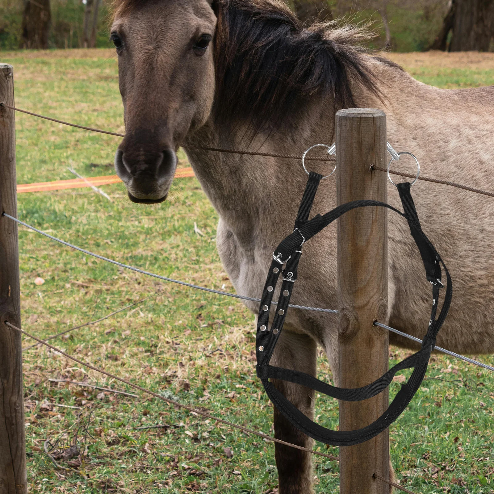 Corda de cavalo halter ajustável treinamento brida rédeas para cavalos pequenos durável náilon equestre equitação aderência ocidental estável