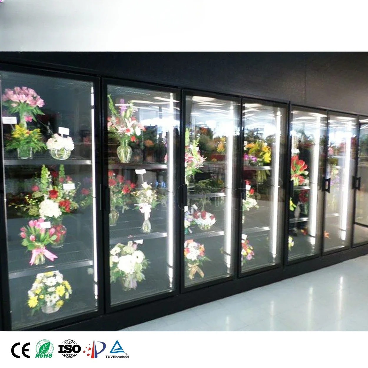 Display Walk in Cooler 100mm Cold Room Storage for Florist & Shop