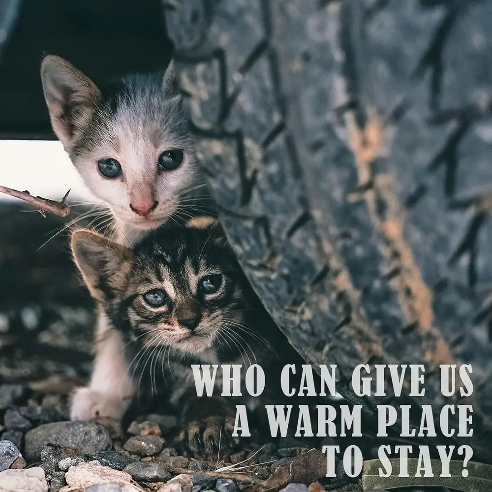 وسادة تدفئة كهربائية مقاومة للماء للحيوانات الأليفة الخارجية - بطانية دافئة آمنة للقطط والكلاب، مثالية لفصل الشتاء 28 × 16