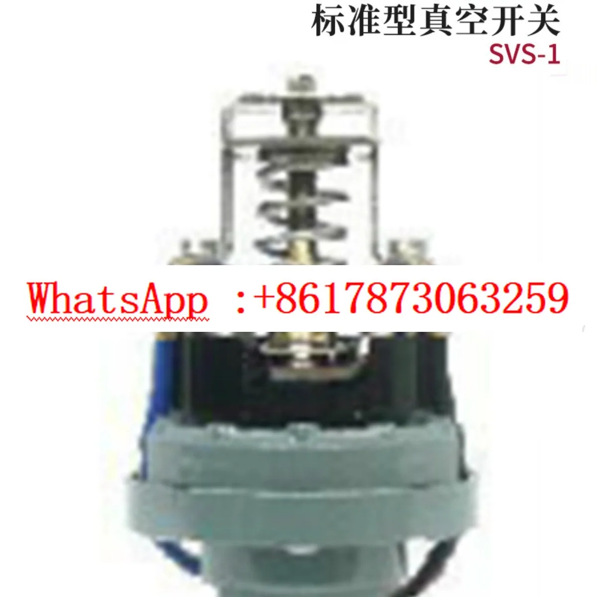Motor rust-proof zinc alloy die casting standard vacuum switch SVS-1