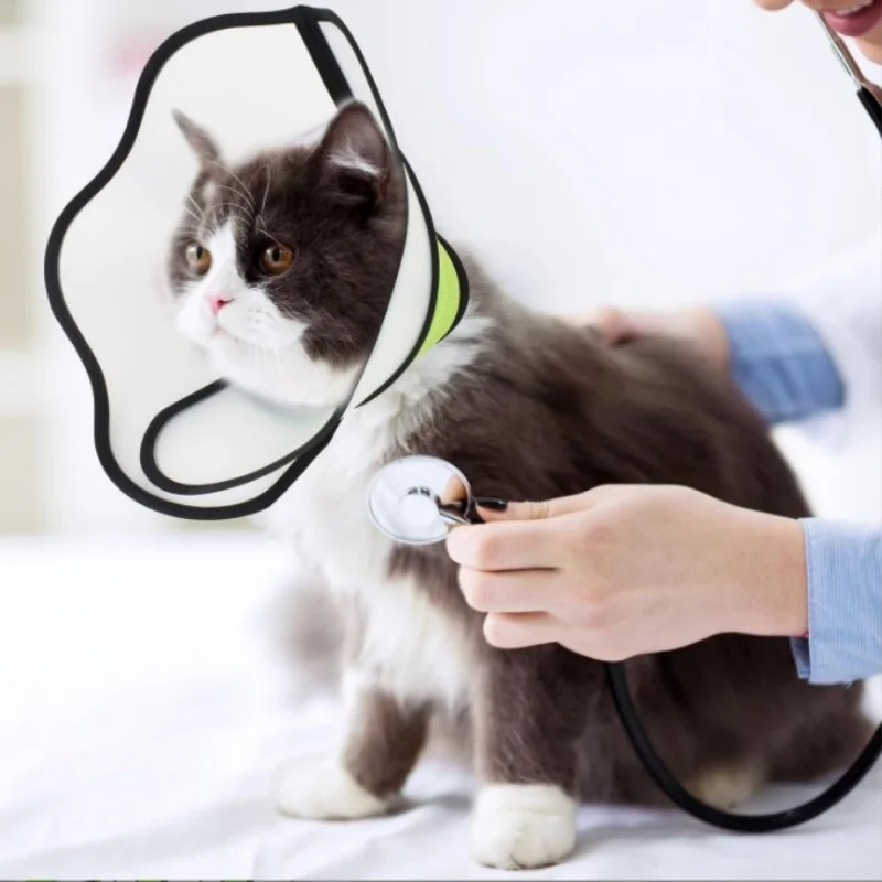 مستلزمات الحيوانات الأليفة للقطط والكلاب، طوق إليزابيث العالمي