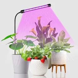 USB Grow Light Phytolamp for Plants Full Spectrum Dimmable 4/8/12H Timer Fitolamp Lights Home Flower Seedling Clip Phyto Lamp