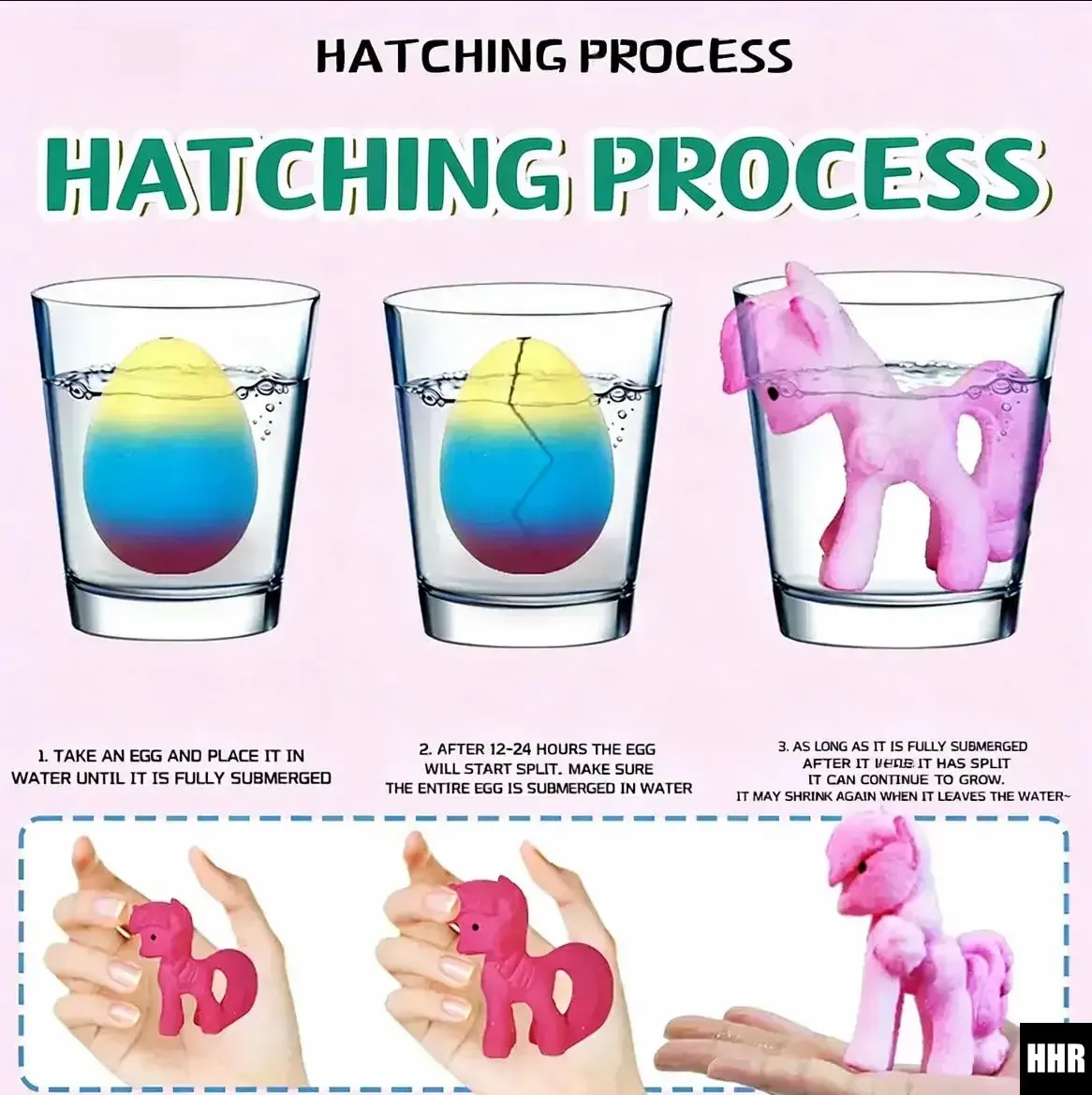 6 Pack Hatching Unicorn Eggs: Rainbow, 6 Unique Unicorns. Magical Growing Toy – Outdoor/Pool/Party. Ideal Xmas/Birthday Gift.
