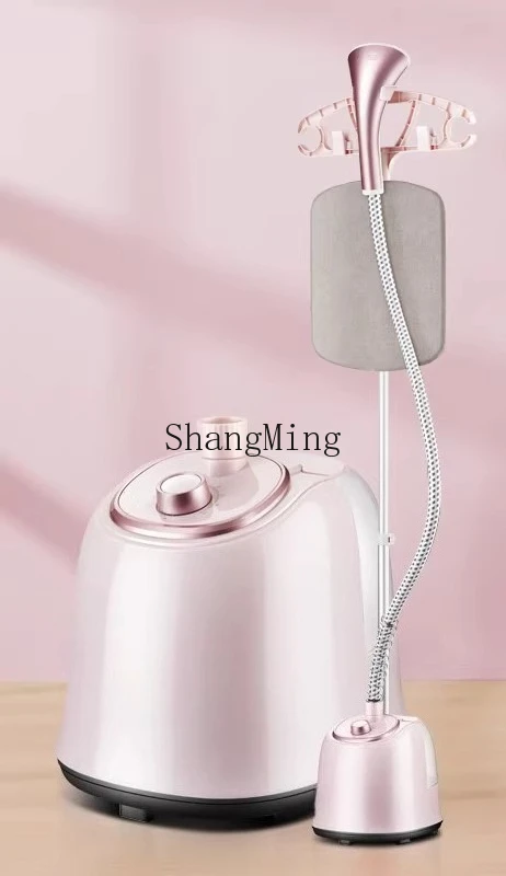 ZYY household steam small vertical ironing machine handheld commercial single rod hanging type
