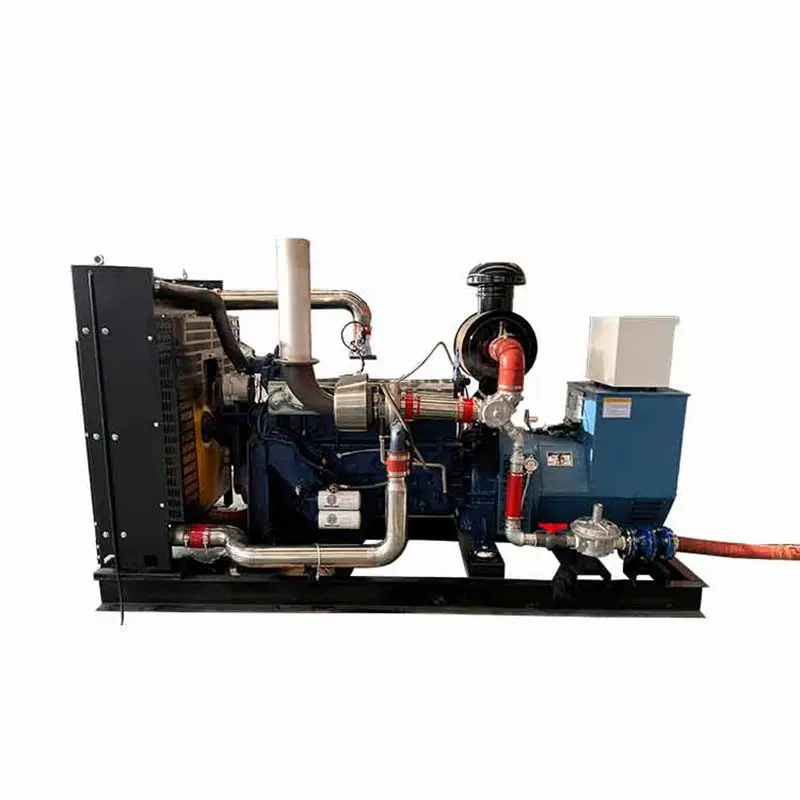 مجموعة مولد الغاز الحيوي للمزرعة ، مشروع 400kW ، 1mw-5 mw