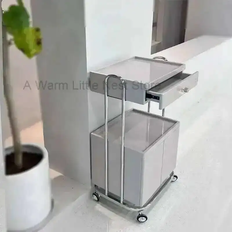 

Utility Hair Beauty Barber Salon Tattoo Trolley Salon Tool Trolleys Cosmetic Spa Salon Furniture Auxiliary Storage Cart F