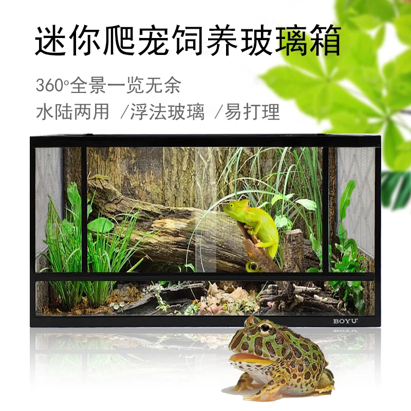 Feeding Box Reptile  Tortoise Pet Climbing Palace Keeping Horned Frog Yellow Edge Snake Glass Rainforest