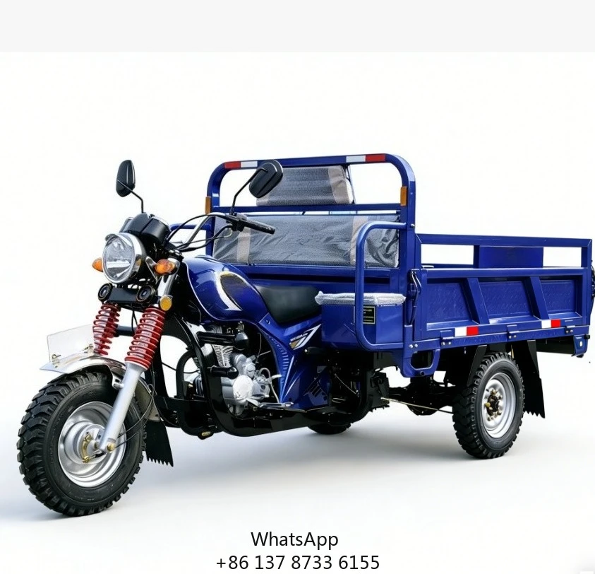 Heavy Load 3 Wheel Tricycle Motorcycle With Anti-Slip Tires CG250 Air Cooled For Rough Road Conditions