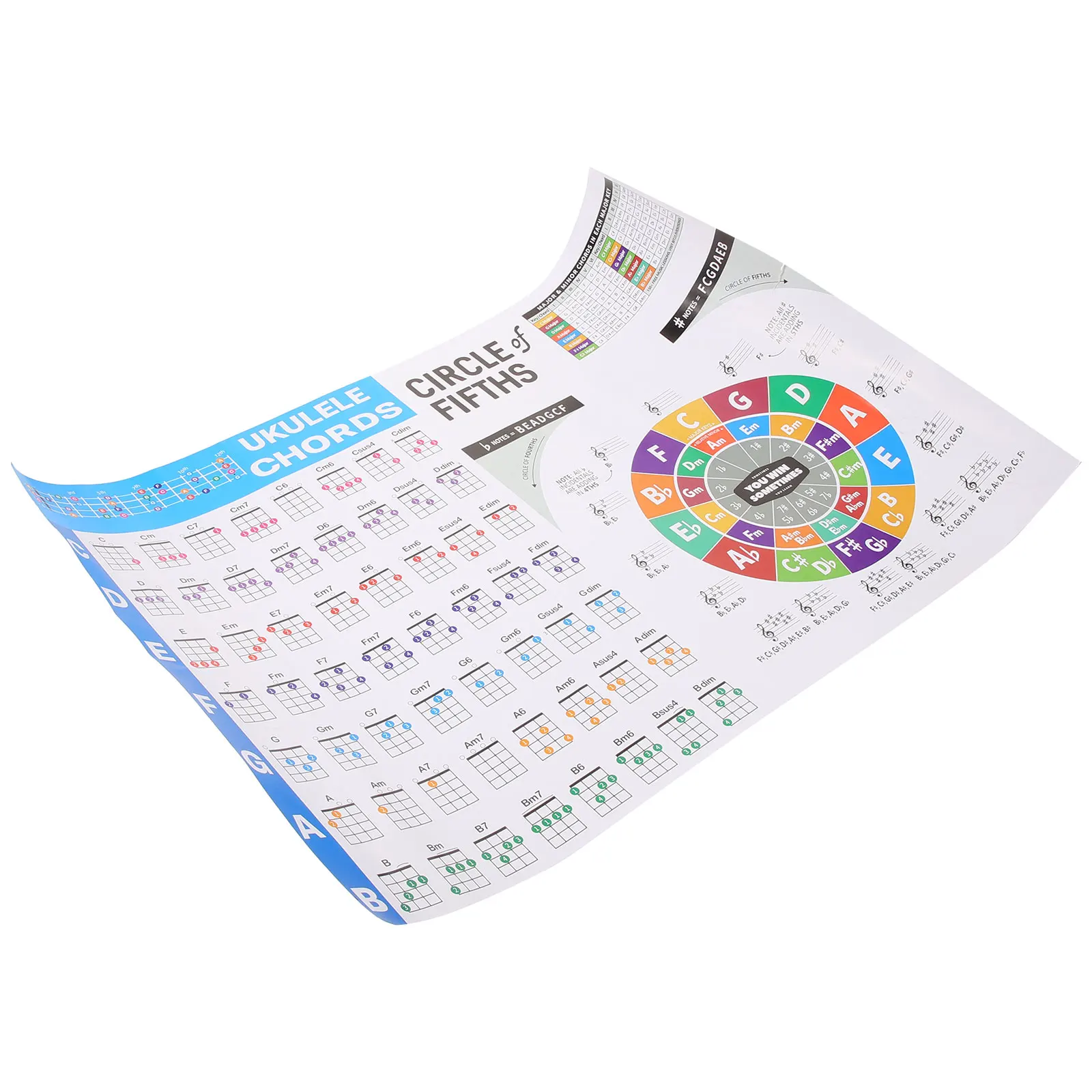 

Ukulele Chord Chart Large Size Coated Paper Portable Beginner Music Theory Circle Of Fifths Poster Ukulele Chord